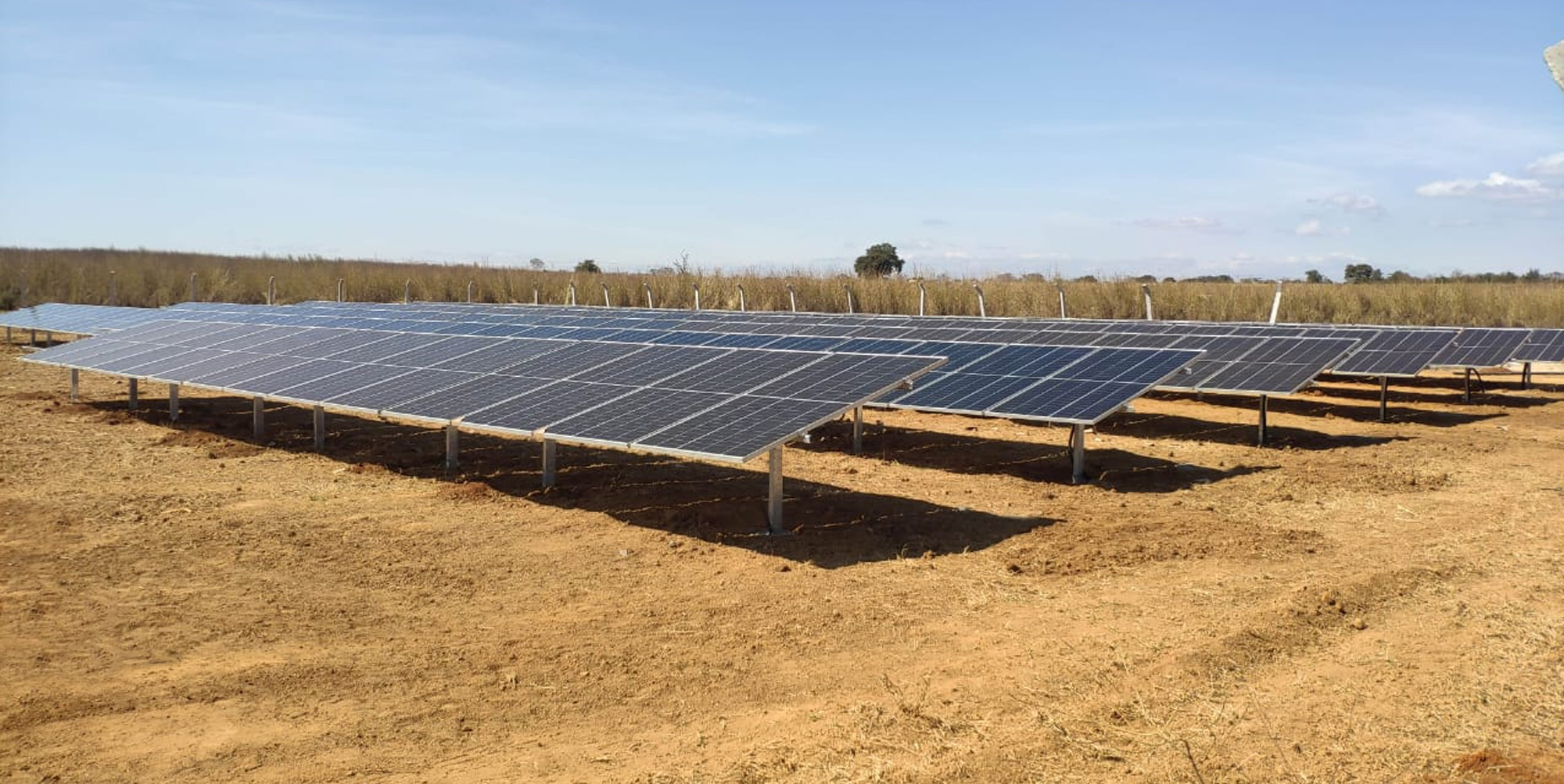 Energia Solar para Agronegócios